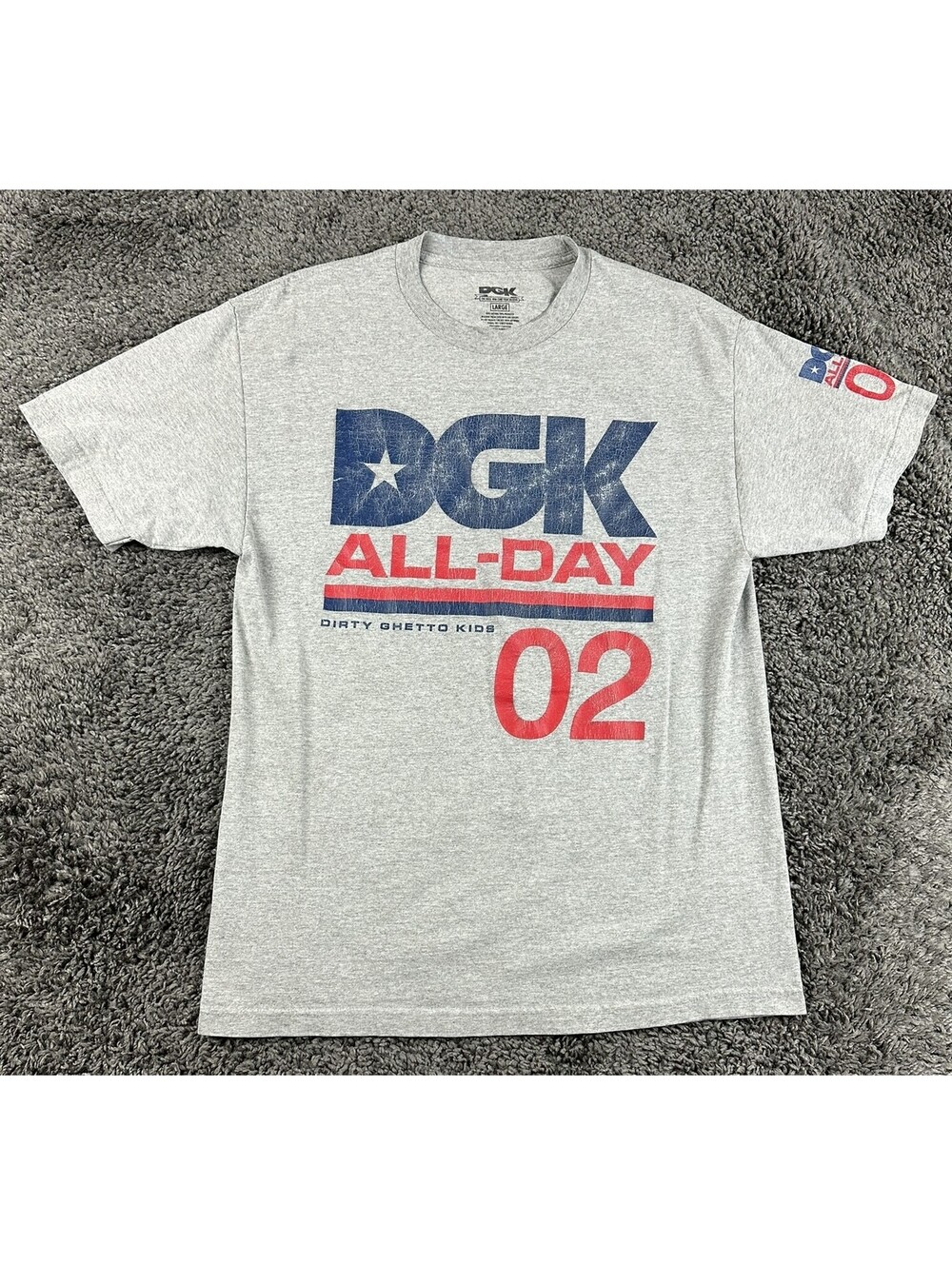 DGK All Day 02 T-Shirt Mens Gray Dirty Ghetto Kids Skateboard Tee Shirt Sz Large